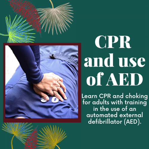 CPR & Use of AED (Adults)